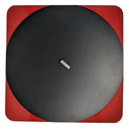 Record Pi System